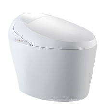 K-706 Water-saving intelligent disclosed auto toilet composting toilet